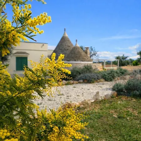 Degli Ulivi Ceglie Messapica