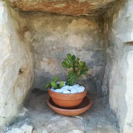 Degli Ulivi