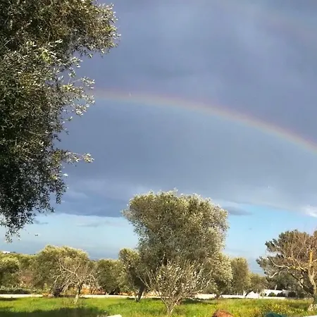 Degli Ulivi Ceglie Messapica