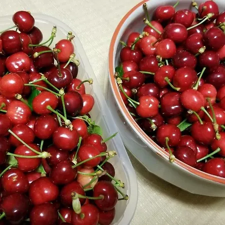 Ferienhaus Degli Ulivi