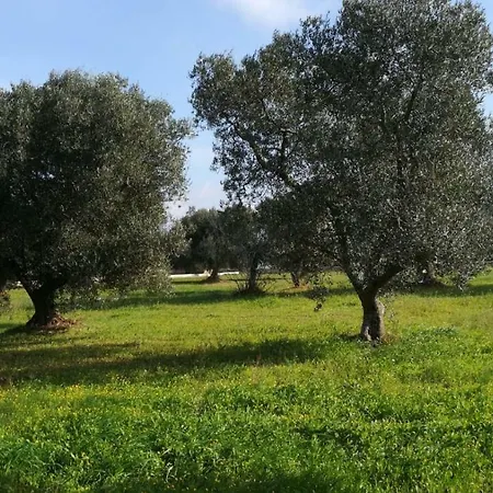 Holiday home Degli Ulivi