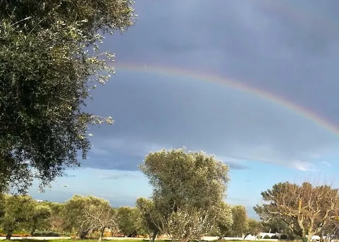 Degli Ulivi צ'לייה מספיקה