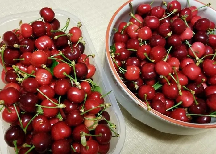 בית נופש Degli Ulivi