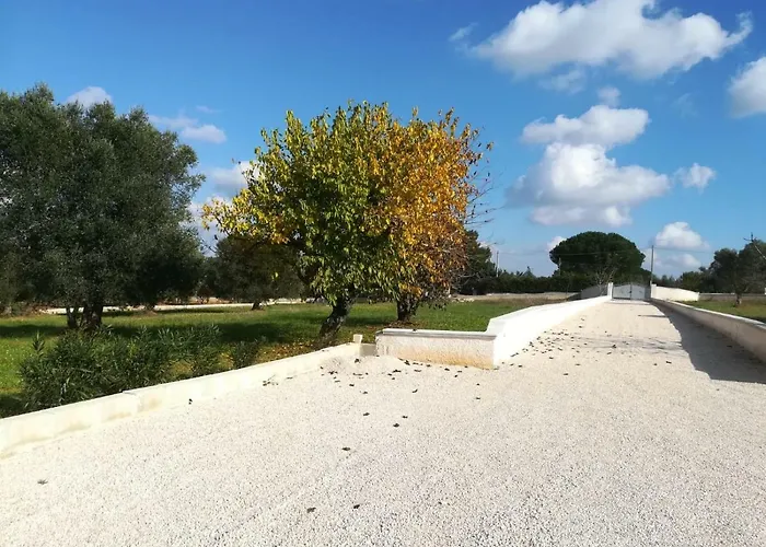 Degli Ulivi צ'לייה מספיקה