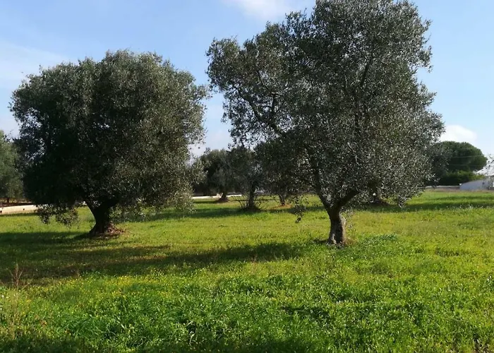 בית נופש Degli Ulivi